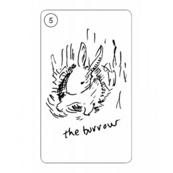 Carrot Cards Taro Kortos Schiffer Publishing